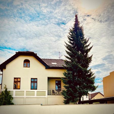 Apartman U Smrku Dvůr Králové nad Labem Dış mekan fotoğraf