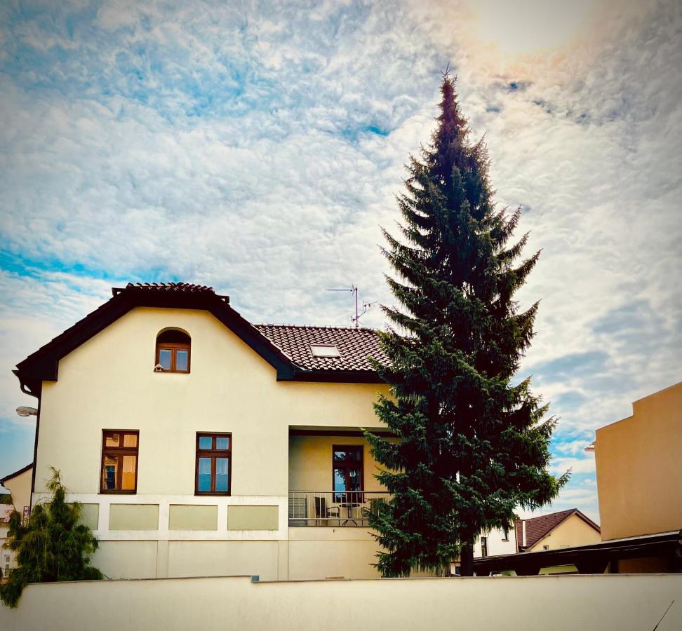 Apartman U Smrku Dvůr Králové nad Labem Dış mekan fotoğraf